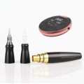 P90 - pen, device for permanent makeup and mesotherapy - Hawk and universal cartridges