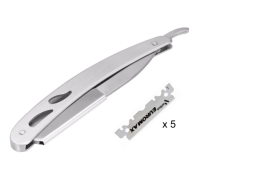 Foldable, steel razor with replaceable blades